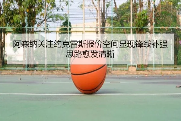 a-sen-na-guan-zhu-yue-ke-lei-si-bao-jia-kong-jian-xian-xian-feng-xian-bu-qiang-si-lu-yu-fa-qing-xi-2-595.jpg